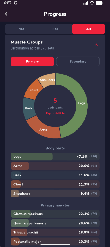Muscle group distribution report